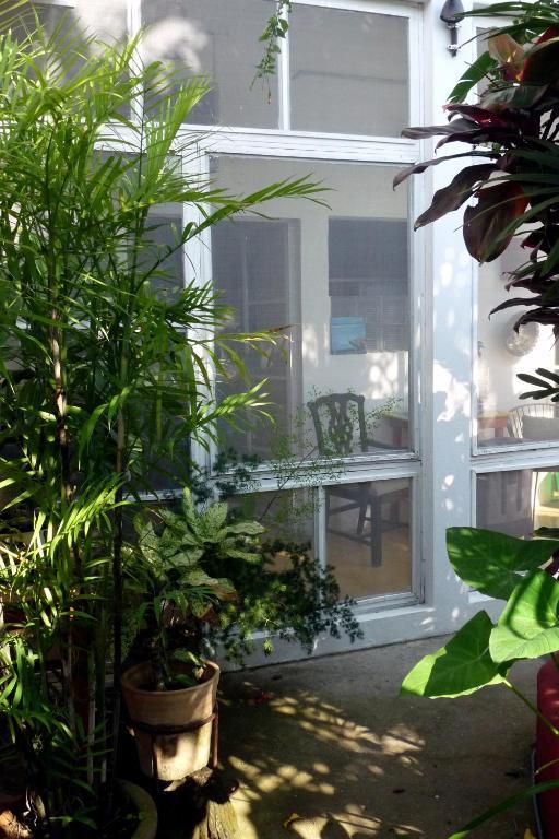 Casa De La Luz - Guesthouse Тлакотаплан Номер фото
